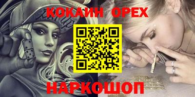 крисы Можга