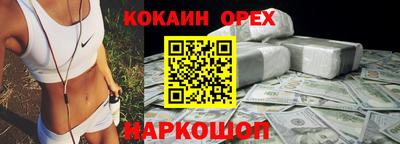 крисы Можга