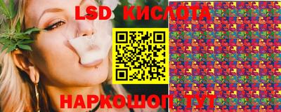 крисы Можга