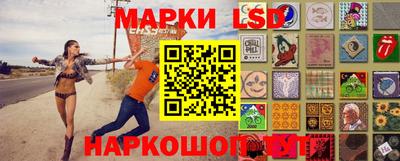 крисы Можга