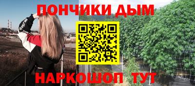 крисы Можга