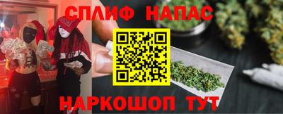 крисы Можга