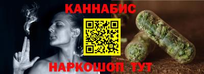 крисы Можга