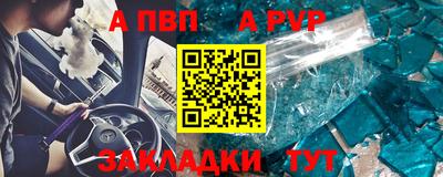 крисы Можга