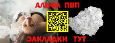 крисы Можга