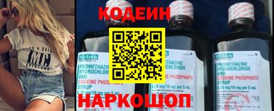 крисы Можга