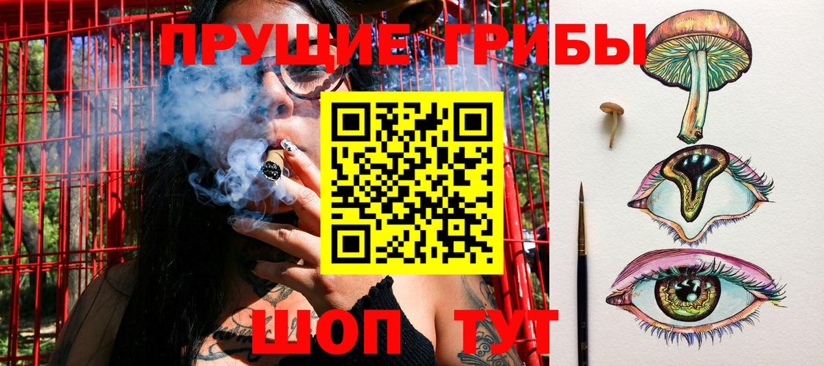 хочу наркоту  Вход с VPN  Урюпинск  Псилоцибиновые грибы Psilocybe 